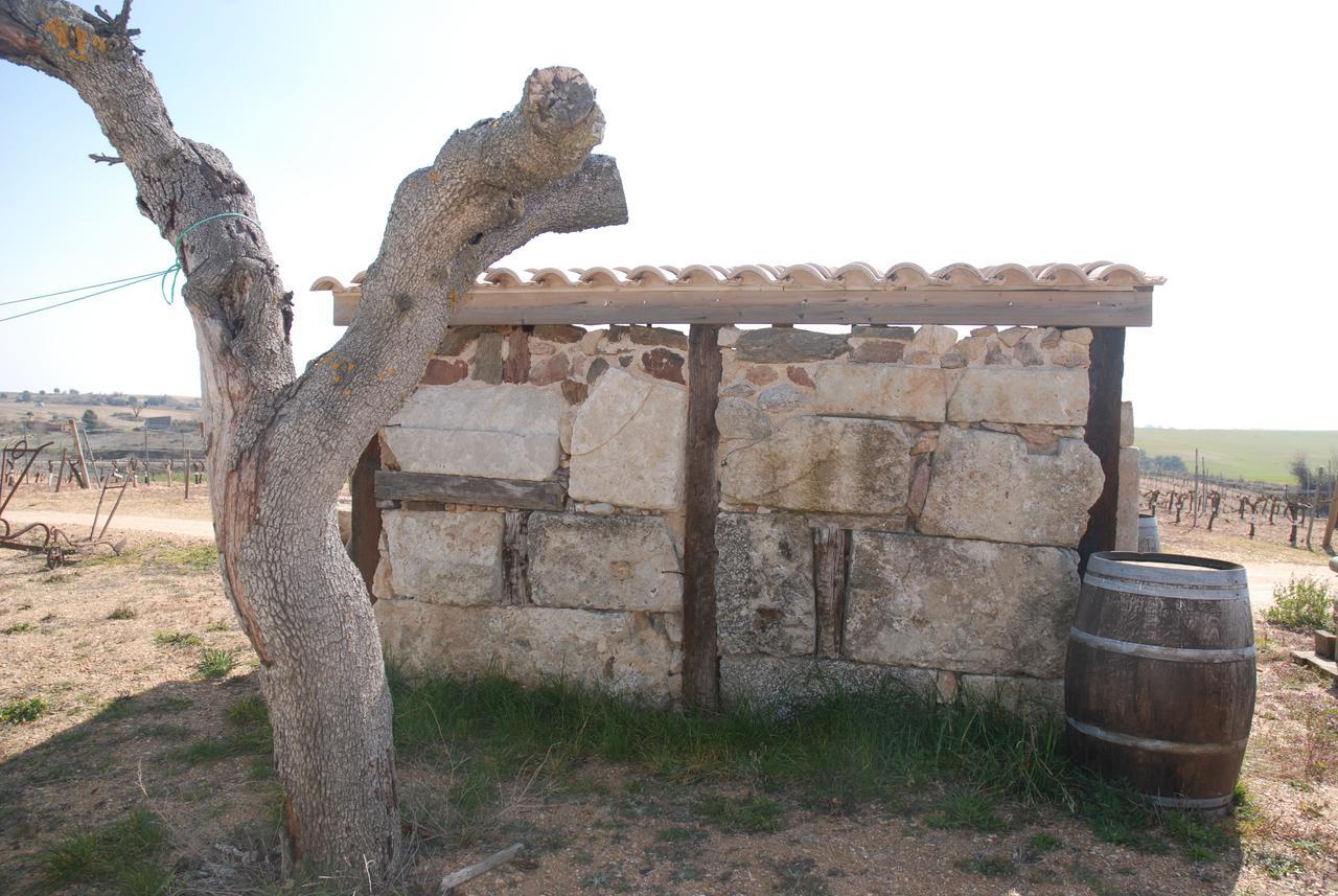 Casa Rural Teso De La Encina Villamor de los Escuderos Exteriör bild